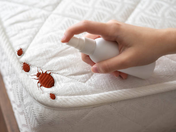 Best Emergency Pest Control  in Ozark, AL