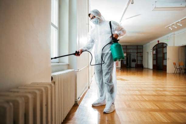 Best Wasp Removal Services  in Ozark, AL